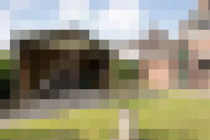 De Prunus 87 Dedemsvaart thumbnail 30