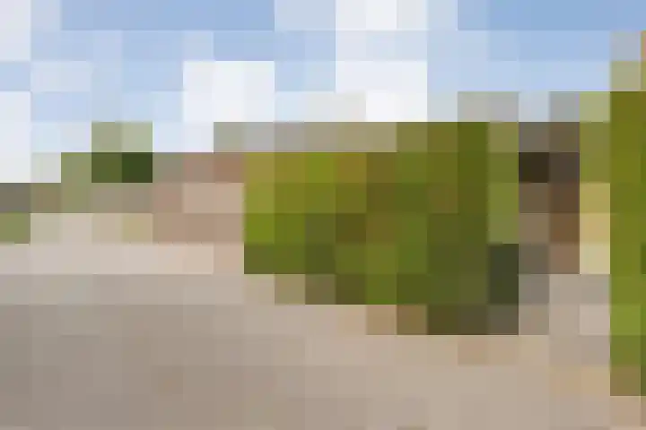 De Prunus 87 Dedemsvaart thumbnail 33
