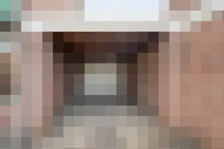 De Prunus 87 Dedemsvaart thumbnail 35