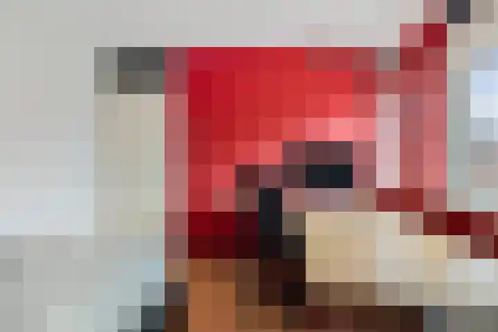 de Punter 13 Baarn thumbnail 12