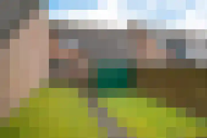 de Punter 13 Baarn thumbnail 18