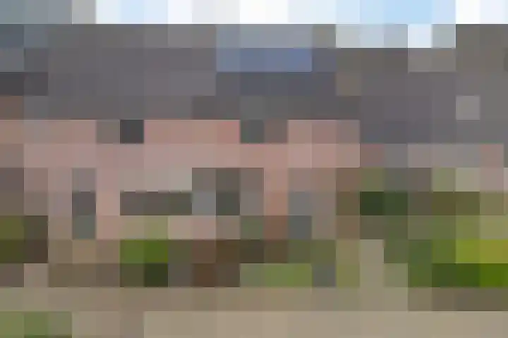 de Punter 13 Baarn thumbnail 21