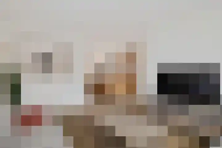 de Punter 13 Baarn thumbnail 4