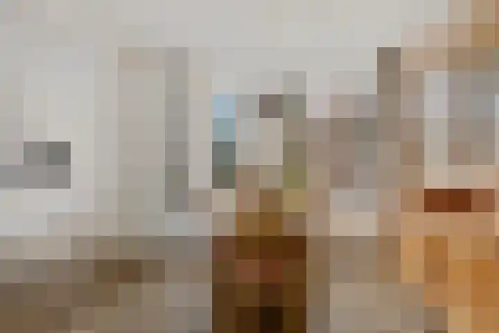 de Punter 13 Baarn thumbnail 5