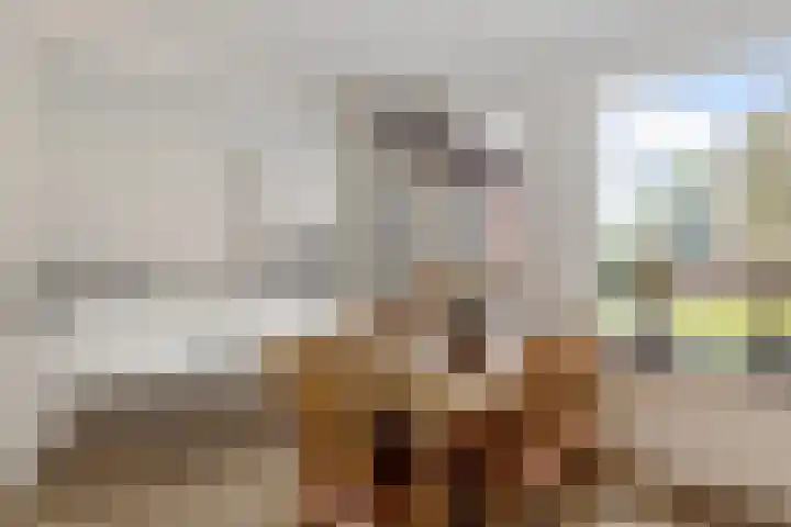 de Punter 13 Baarn thumbnail 6