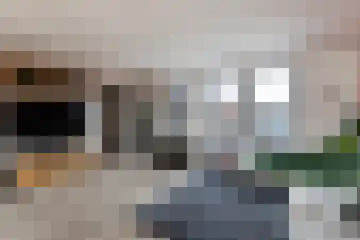 De Put 14 Maassluis thumbnail 12