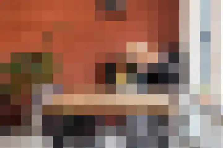De Put 14 Maassluis thumbnail 20