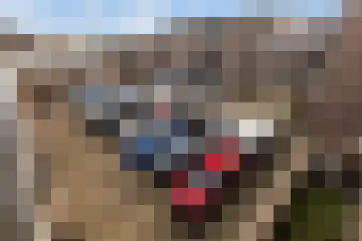 De Put 14 Maassluis thumbnail 29