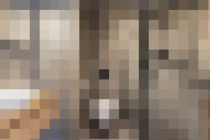 De Put 14 Maassluis thumbnail 33