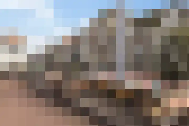 De Put 14 Maassluis thumbnail 37