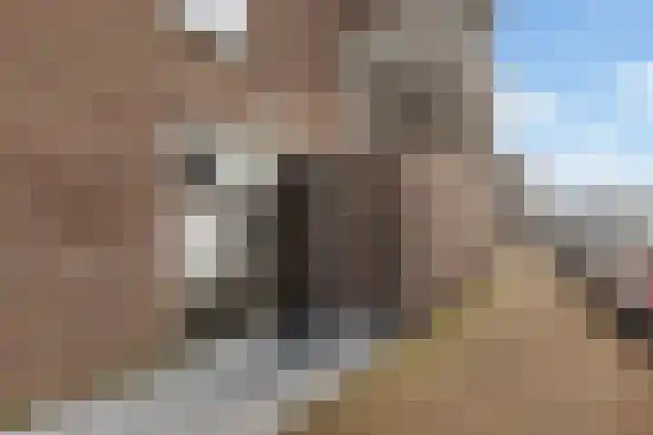 De Put 14 Maassluis thumbnail 6
