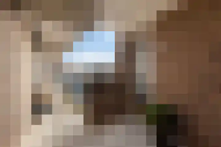 De Put 14 Maassluis thumbnail 7