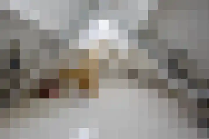 de Putstoel 15 Meppel thumbnail 27