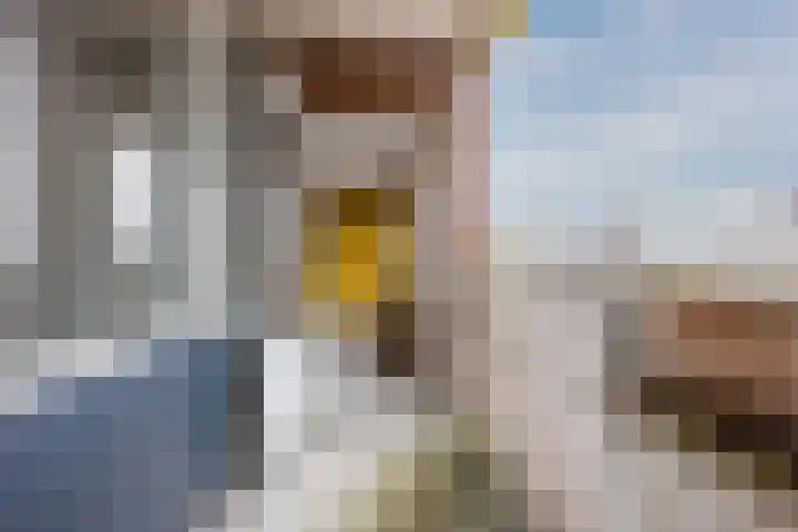 de Putstoel 28 Meppel thumbnail 28