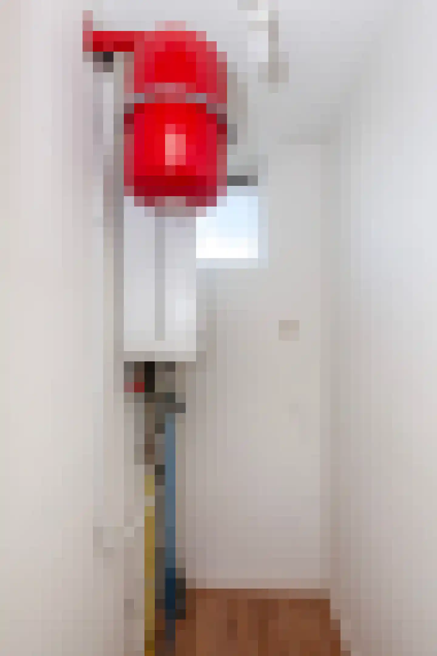 De Quackstraat 32 B Rotterdam thumbnail 32