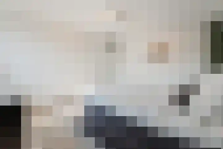 de Quaylaan 48 Grave thumbnail 15