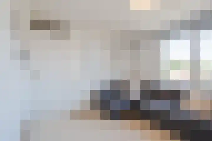 de Quaylaan 48 Grave thumbnail 17