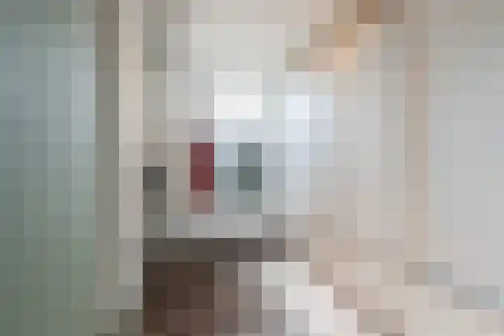 de Quaylaan 48 Grave thumbnail 18