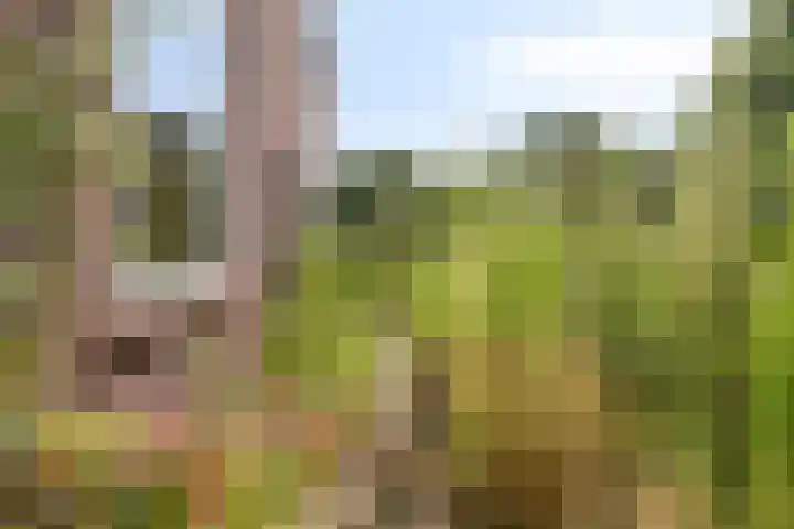 de Quaylaan 75 Grave thumbnail 24
