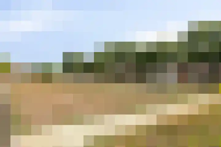 de Quaylaan 75 Grave thumbnail 28