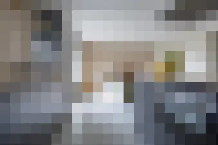 de Raep 23 Beverwijk thumbnail 10