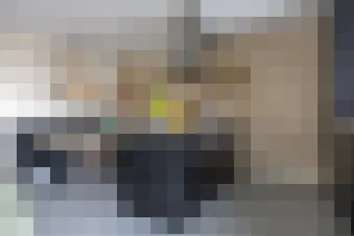 de Raep 23 Beverwijk thumbnail 13