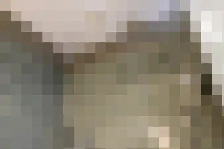 de Raep 23 Beverwijk thumbnail 23