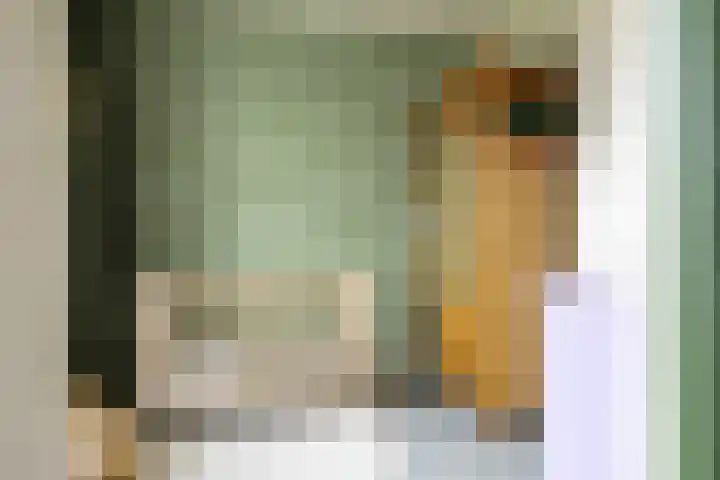 de Raep 23 Beverwijk thumbnail 31
