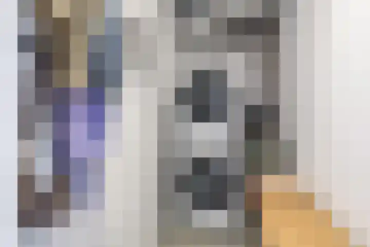 de Raep 23 Beverwijk thumbnail 32