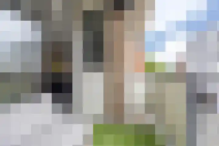 de Raep 23 Beverwijk thumbnail 36