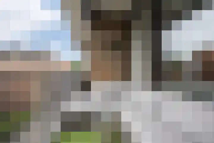 de Raep 23 Beverwijk thumbnail 37