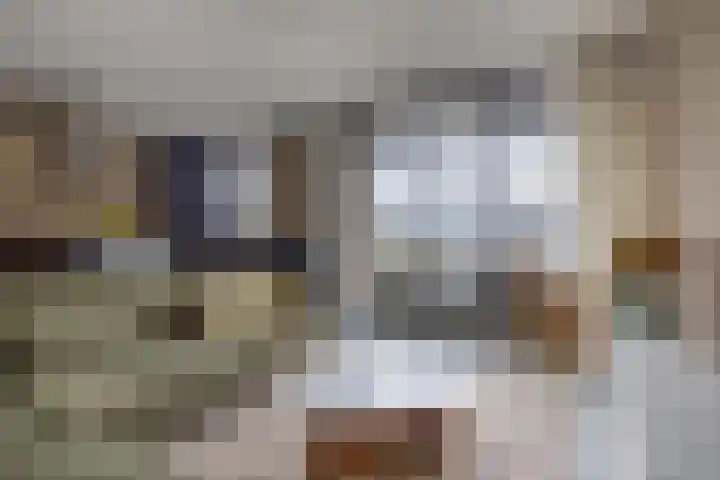 de Raep 23 Beverwijk thumbnail 5