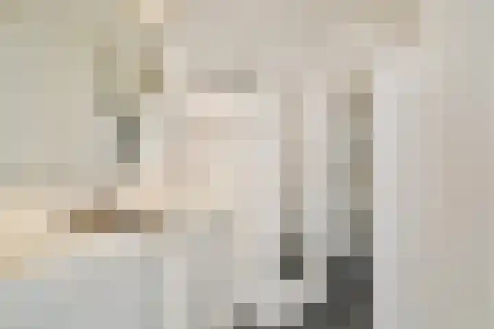 de Raep 27 Beverwijk thumbnail 5