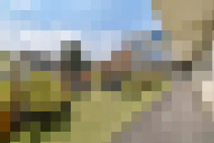 de Raep 27 Beverwijk thumbnail 7