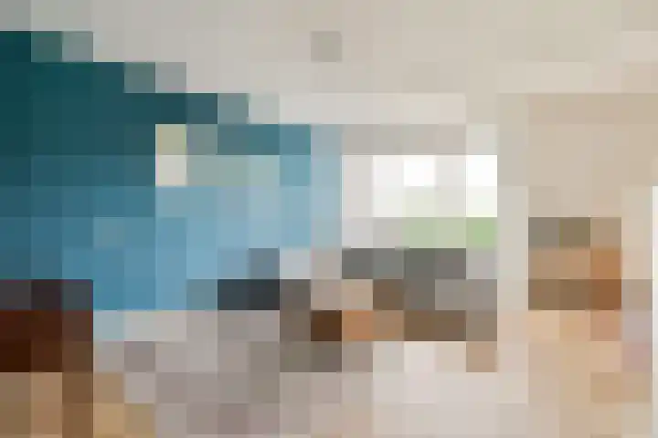 de Raep 27 Beverwijk thumbnail 9