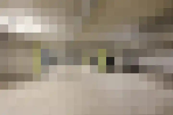 de Raep 57 Beverwijk thumbnail 31