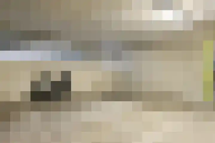 de Raep 57 Beverwijk thumbnail 32