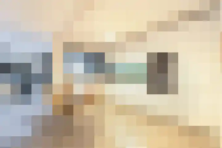 de Raep 57 Beverwijk thumbnail 8