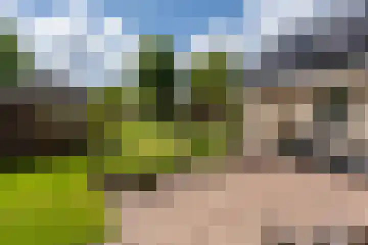 De Rail 63 Stadskanaal thumbnail 36