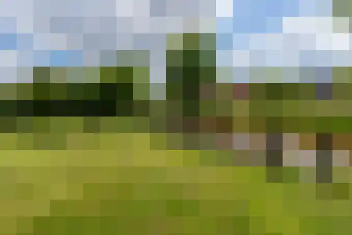 De Rail 63 Stadskanaal thumbnail 44