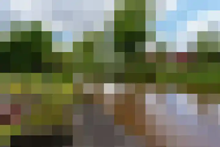 De Rail 63 Stadskanaal thumbnail 45