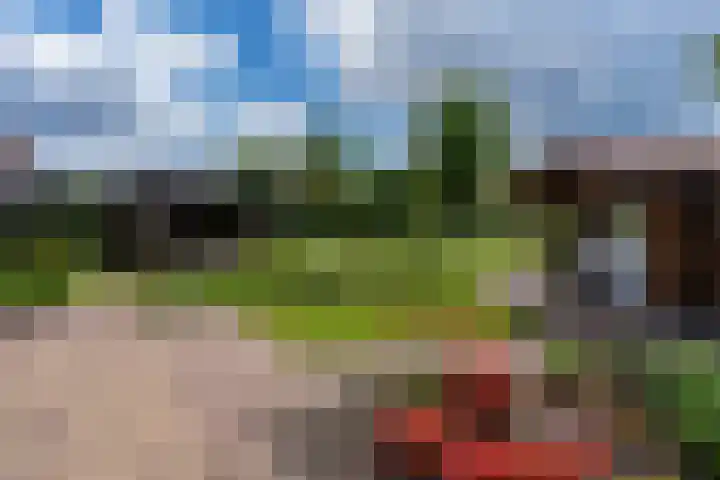 De Rail 63 Stadskanaal thumbnail 49