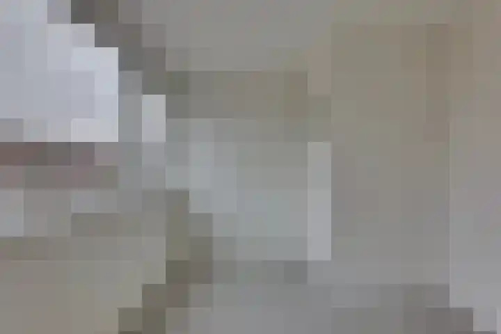 De Rede 12 A Dronten thumbnail 12