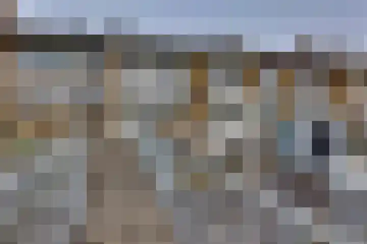 De Rede 12 A Dronten thumbnail 19