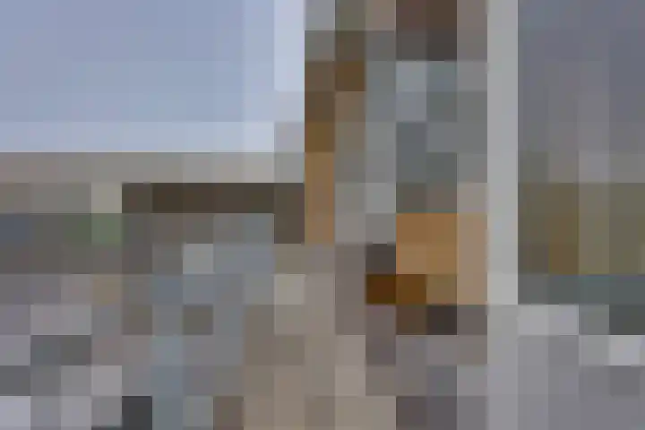 De Rede 12 Dronten thumbnail 14