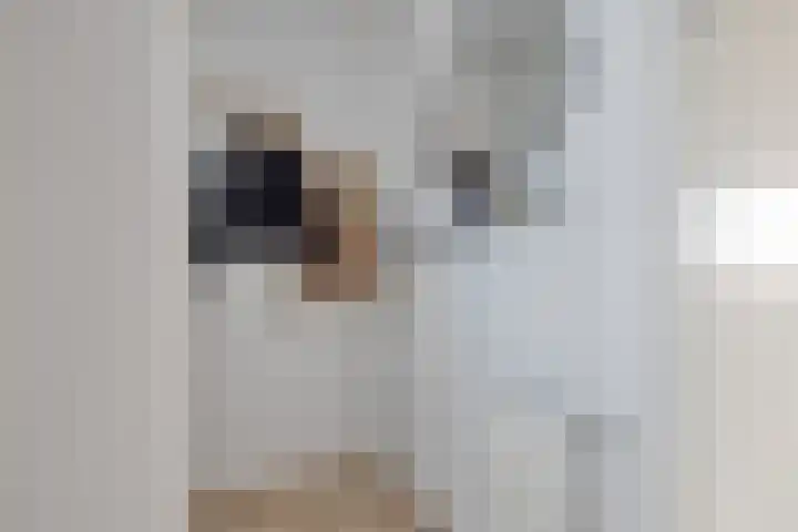 De Rede 83 Dronten thumbnail 10