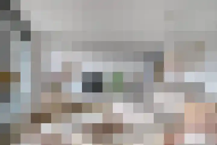 De Rede 83 Dronten thumbnail 13