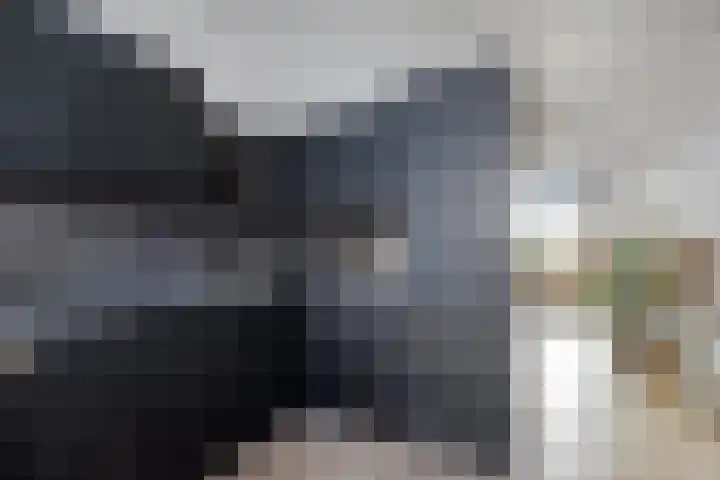 De Rede 83 Dronten thumbnail 21