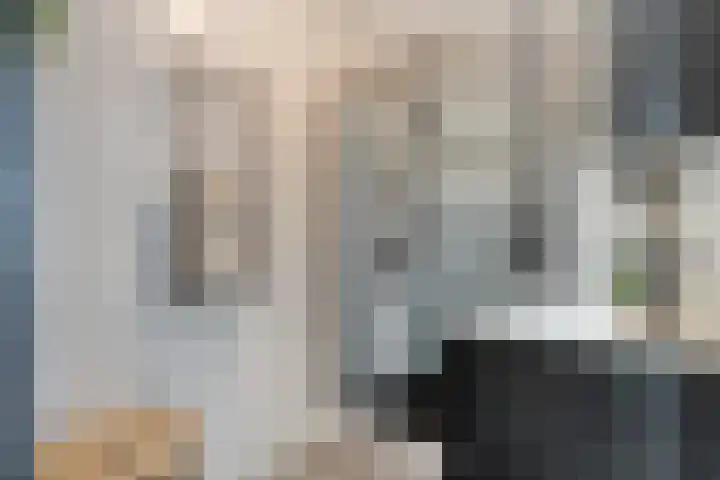 De Rede 83 Dronten thumbnail 30