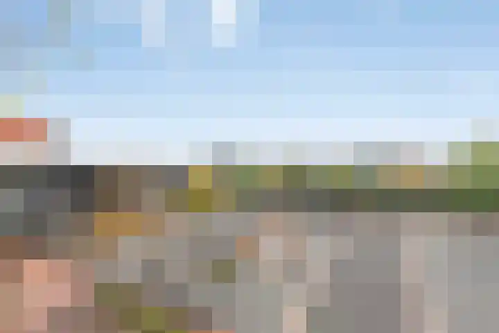 De Rede 83 Dronten thumbnail 32